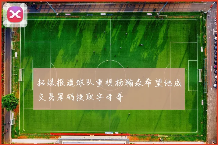 拓媒报道球队重视杨瀚森希望他成交易筹码换取字母哥